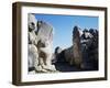 Lion Gate-null-Framed Giclee Print