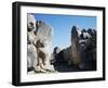 Lion Gate-null-Framed Giclee Print