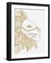 Lion Gold-Pam Varacek-Framed Art Print