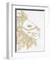 Lion Gold-Pam Varacek-Framed Art Print