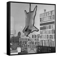 Lion Hanging on Ernest Hemingway's Wall-null-Framed Stretched Canvas