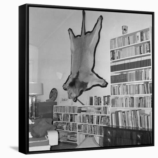 Lion Hanging on Ernest Hemingway's Wall-null-Framed Stretched Canvas