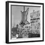 Lion Hanging on Ernest Hemingway's Wall-null-Framed Premium Photographic Print