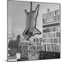 Lion Hanging on Ernest Hemingway's Wall-null-Mounted Photographic Print