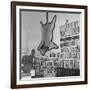 Lion Hanging on Ernest Hemingway's Wall-null-Framed Photographic Print