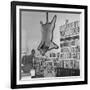 Lion Hanging on Ernest Hemingway's Wall-null-Framed Photographic Print