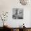 Lion Hanging on Ernest Hemingway's Wall-null-Photographic Print displayed on a wall
