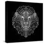Lion Head Black Mesh-Lisa Kroll-Stretched Canvas