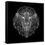 Lion Head Black Mesh-Lisa Kroll-Framed Stretched Canvas