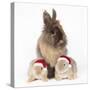 Lion Head Rabbit with Young Wearing Christmas Hat-null-Stretched Canvas