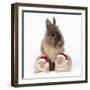 Lion Head Rabbit with Young Wearing Christmas Hat-null-Framed Photographic Print
