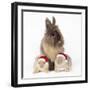 Lion Head Rabbit with Young Wearing Christmas Hat-null-Framed Photographic Print