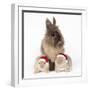 Lion Head Rabbit with Young Wearing Christmas Hat-null-Framed Photographic Print