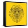 Lion Head Yellow Mesh-Lisa Kroll-Framed Stretched Canvas