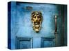 Lion Head-Jody Miller-Stretched Canvas