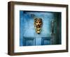 Lion Head-Jody Miller-Framed Photographic Print