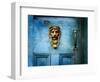 Lion Head-Jody Miller-Framed Photographic Print