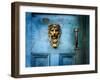 Lion Head-Jody Miller-Framed Photographic Print