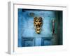 Lion Head-Jody Miller-Framed Photographic Print