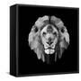 Lion Head-Lisa Kroll-Framed Stretched Canvas