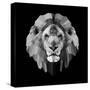 Lion Head-Lisa Kroll-Stretched Canvas