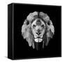 Lion Head-Lisa Kroll-Framed Stretched Canvas