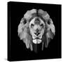 Lion Head-Lisa Kroll-Stretched Canvas