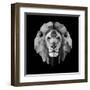 Lion Head-Lisa Kroll-Framed Art Print