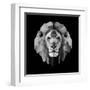 Lion Head-Lisa Kroll-Framed Art Print