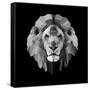 Lion Head-Lisa Kroll-Framed Stretched Canvas