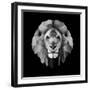 Lion Head-Lisa Kroll-Framed Art Print