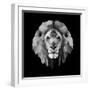 Lion Head-Lisa Kroll-Framed Art Print