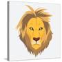 Lion Head-Rizal Masyhuri-Stretched Canvas