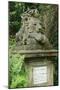 Lion, Highgate West-null-Mounted Photographic Print