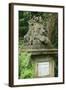 Lion, Highgate West-null-Framed Photographic Print