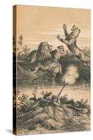 Lion Hunting At Night, c1880-null-Stretched Canvas