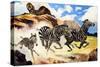 Lion Hunting Zebras-G. W Backhouse-Stretched Canvas