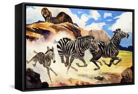 Lion Hunting Zebras-G. W Backhouse-Framed Stretched Canvas