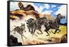 Lion Hunting Zebras-G. W Backhouse-Framed Stretched Canvas