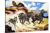 Lion Hunting Zebras-G. W Backhouse-Stretched Canvas