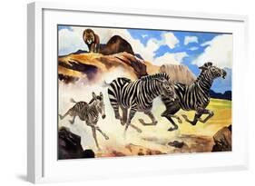 Lion Hunting Zebras-G. W Backhouse-Framed Giclee Print