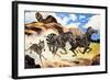 Lion Hunting Zebras-G. W Backhouse-Framed Giclee Print