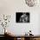 Lion in Black and White-Joerg Huettenhoelscher-Photographic Print displayed on a wall