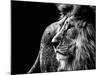 Lion in Black and White-Joerg Huettenhoelscher-Mounted Photographic Print