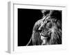 Lion in Black and White-Joerg Huettenhoelscher-Framed Photographic Print