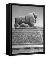 Lion in the Ruins of the Temple of Nebuchadnezzar in the Ruins of Babylon-Dmitri Kessel-Framed Stretched Canvas