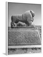 Lion in the Ruins of the Temple of Nebuchadnezzar in the Ruins of Babylon-Dmitri Kessel-Framed Photographic Print