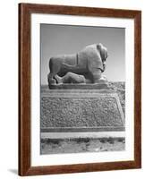 Lion in the Ruins of the Temple of Nebuchadnezzar in the Ruins of Babylon-Dmitri Kessel-Framed Photographic Print