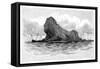 Lion Island, Australia, 1886-null-Framed Stretched Canvas