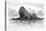 Lion Island, Australia, 1886-null-Stretched Canvas